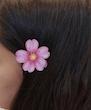 گیره انبری ایموجی 🌸🎀