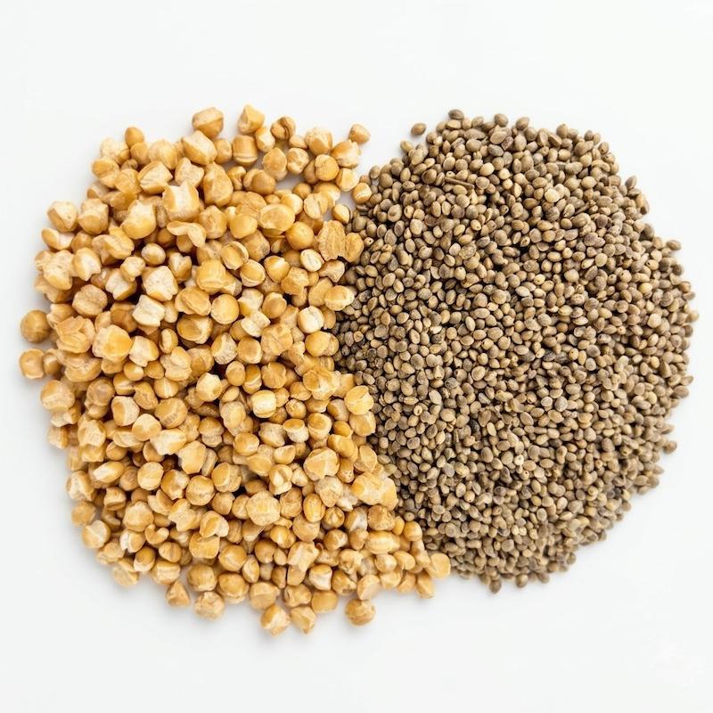 پک گندمک و شادونه (شاهدانه) _ ۲۵۰ گرمی