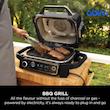 گریل باربیکیو برقی نینجا مدل OG701