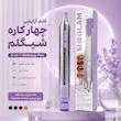  قلم آرایشی ۴ کاره شیگلم 