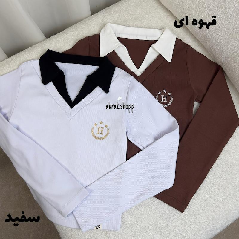 پولوشرت دو یقه گلدوزی ستاره-253