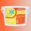 رنگ پلاستیک پارس بهار گالن کد ۲۱۰ چهار کیلویی