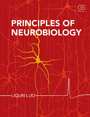 کتاب "Principles of Neurology"