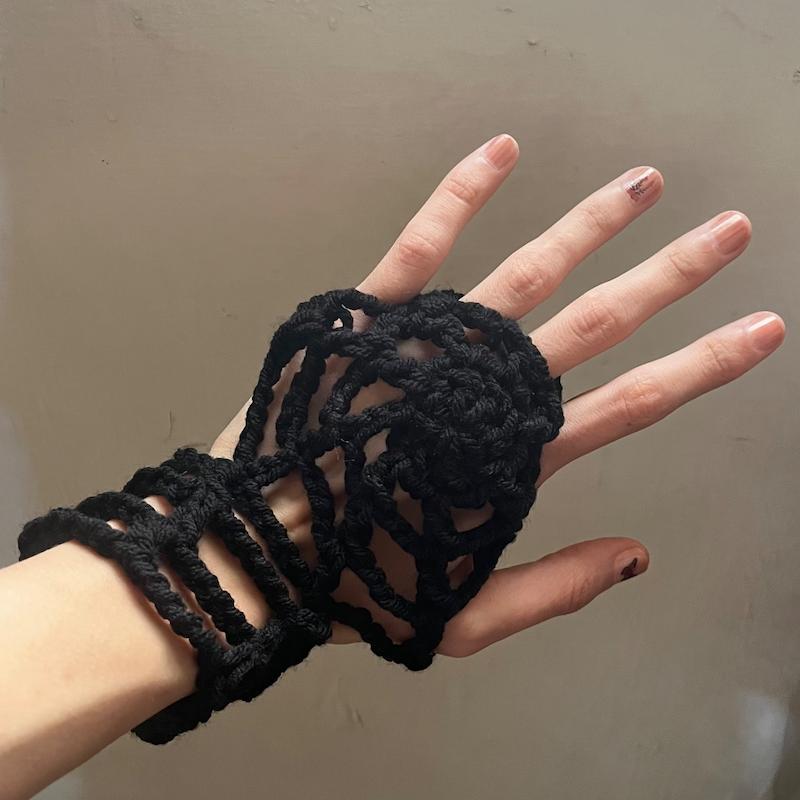 هندوارمر عنکبوتی