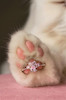 انگشتر پنجه🐾🐈