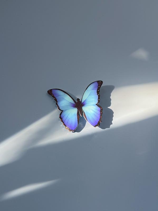 گیره اموجی🦋