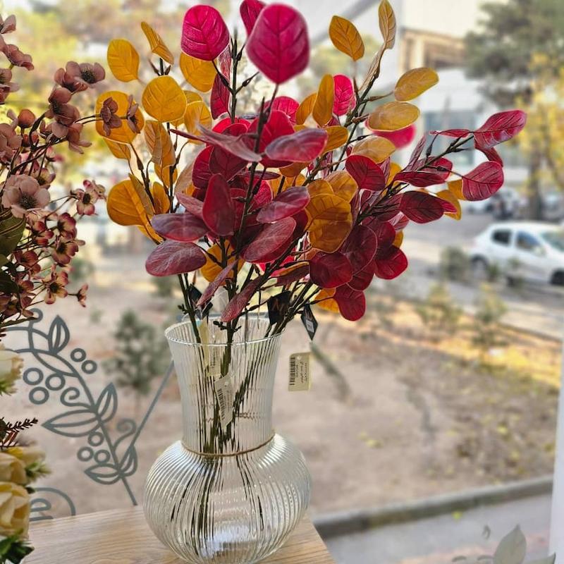 گل شاخه اکالیپتوس