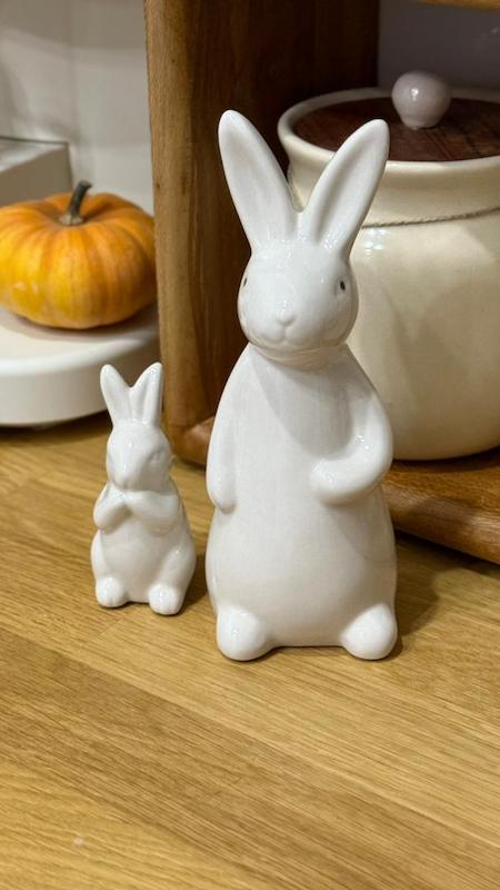 دکوری خرگوش