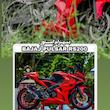اسپایلر بلند RS200