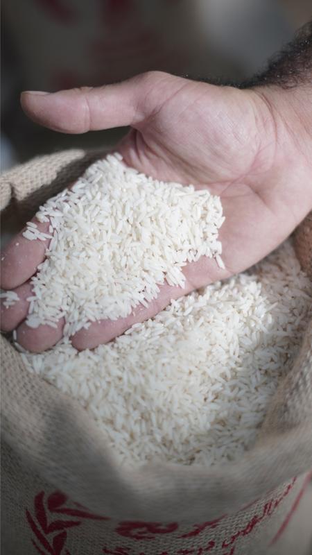 برنج ۱۰ کیلویی شاه برنج کشت دوم امرللهی