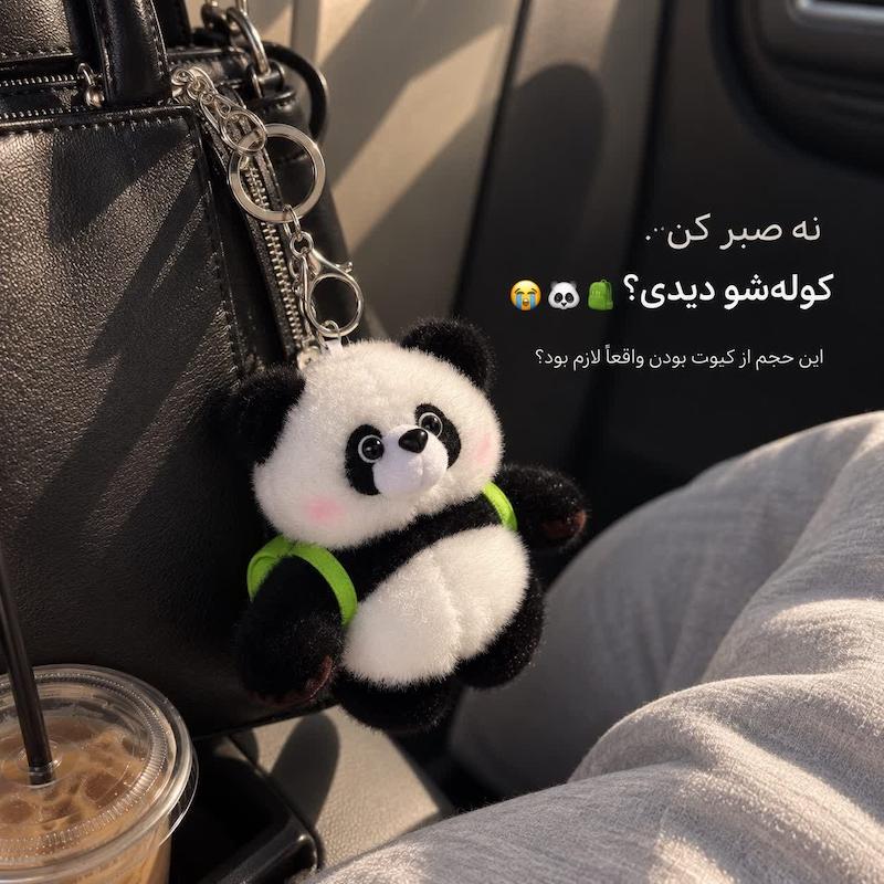چارمر