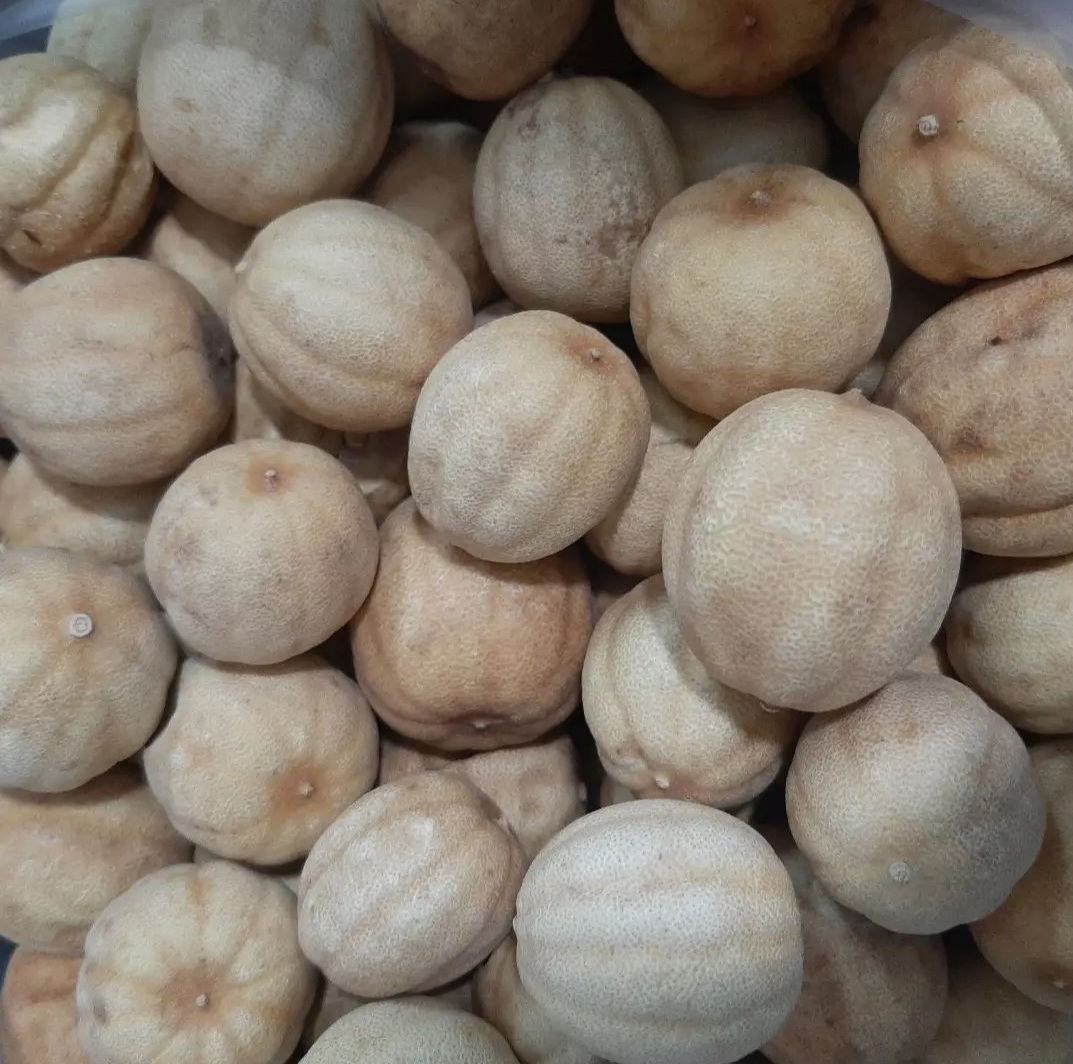 لیمو عمانی