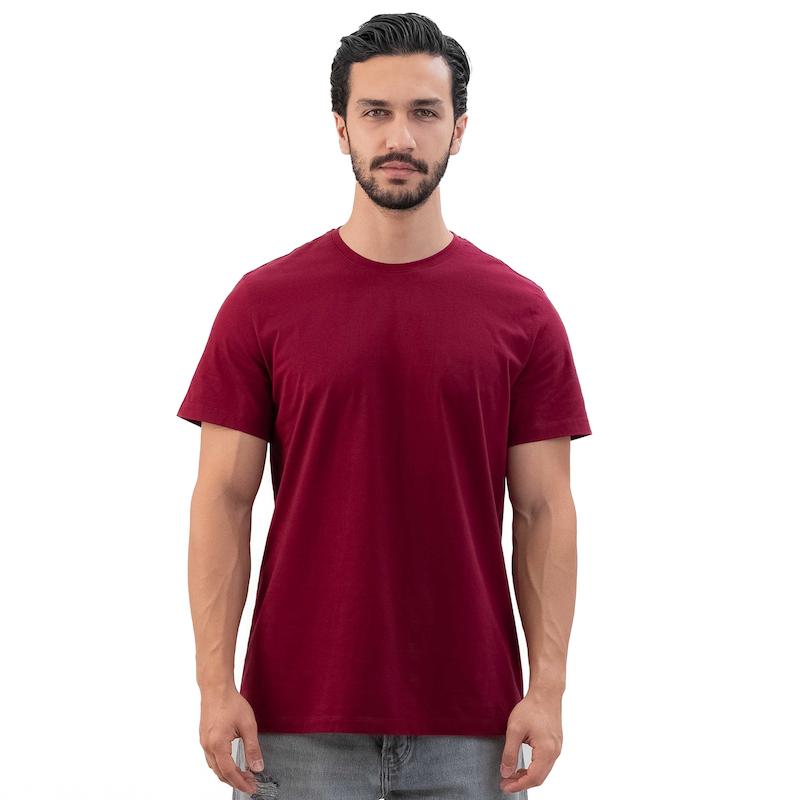 تیشرت بیسیک رگولارفیت مردانه - 15252252