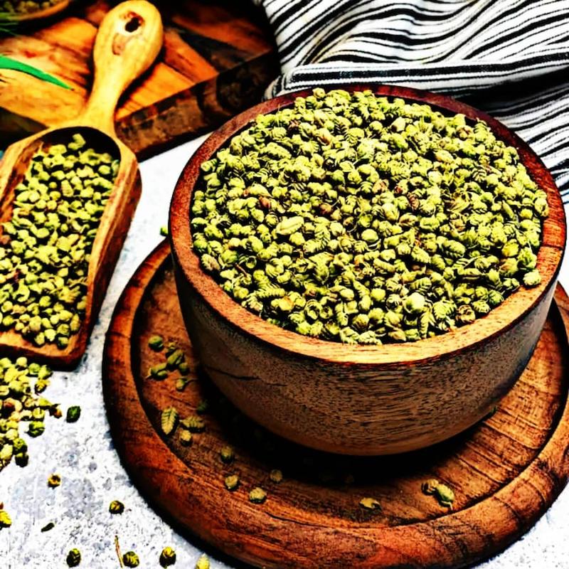 اورگانو بولد «آویشن اروپایی»