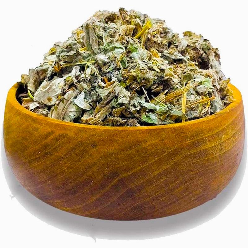 کنگر فرنگی لهستانی « آرتیشو»