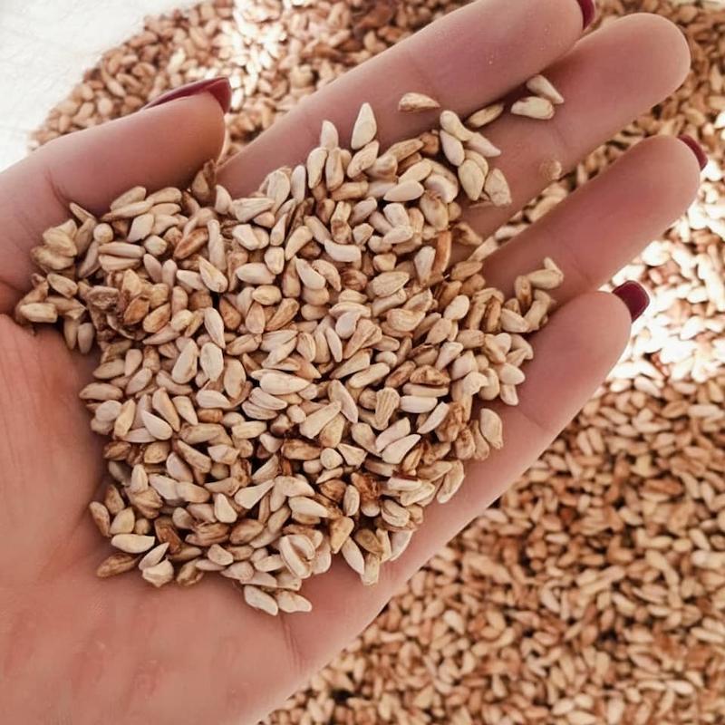 هسته انار «ما3تا»