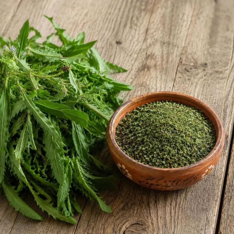 سبزی معطر کوهی فانوسک