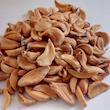 حبه سیر آتیشی «ما3تا»