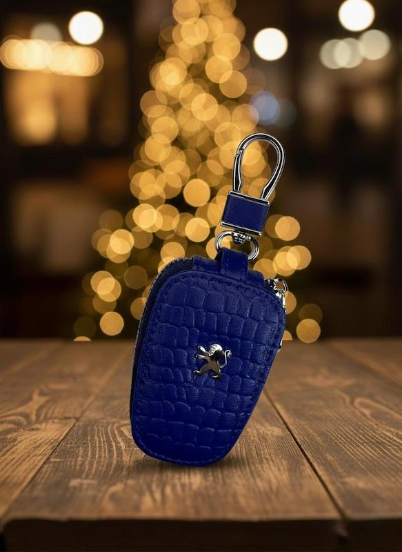 کاور ریموت خودرو