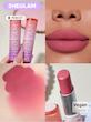 رژ لب وارداتی برند SHEGLAM شیگلم مدل PERIODT گیاهی