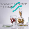 ژل ضد جوش Bio Marine