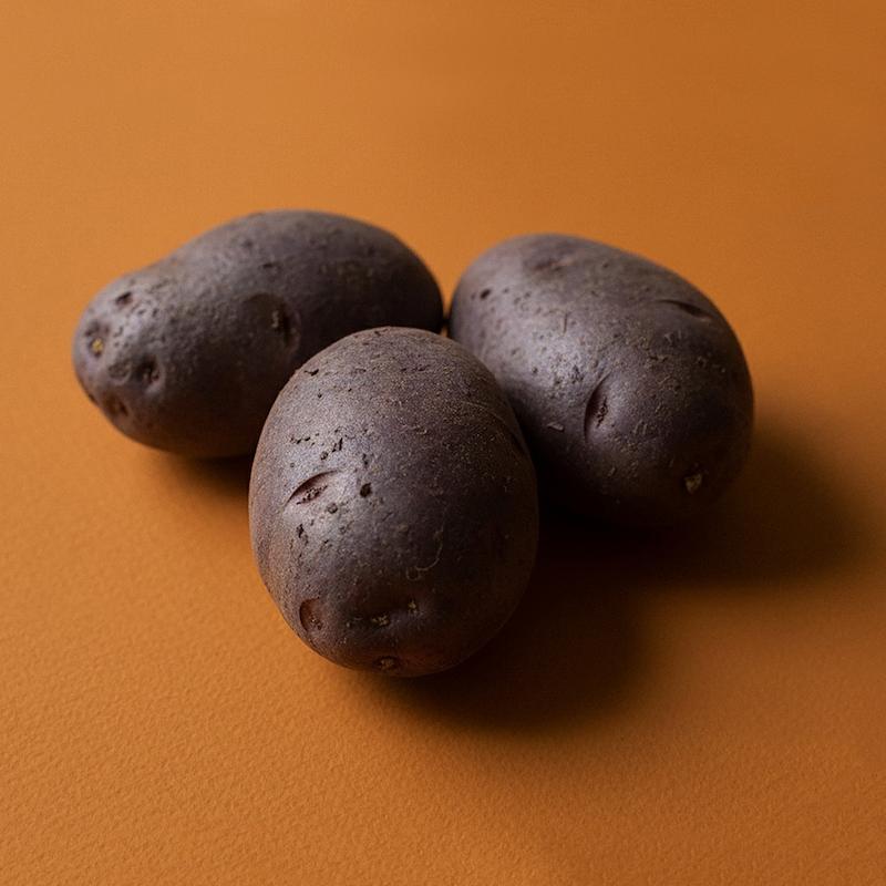 سیب زمینی بنفش معمولی