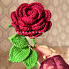 شاخه گل رز زرشکی