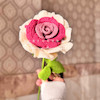 گل رز۳ رنگ زیبا 
