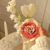 گل رز۳ رنگ زیبا 