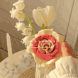 گل رز۳ رنگ زیبا 