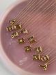 گردنبند حروف طلایی ساده