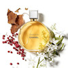 عطر ادکلن شنل چنس-چنل چنس ادوپرفیوم زنانه Chanel Chance for Women EDP 