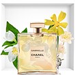 عطر ادکلن چنل-شنل گابریل ادوپرفیوم زنانه  Chanel Gabrielle Eau de Perfume