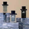 عطر ادکلن باربری مستر باربری ادوتویلت مردانه Burberry Mr. Burberry for Men EDT