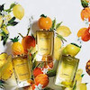 عطر ادکلن دولچه اند گابانا پاین اپل(آناناس) ادوتویلت مردانه-زنانه Dolce & Gabbana Pineapple Unisex EDT