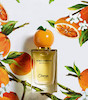 عطر ادکلن دولچه اند گابانا اورنج(پرتقال) ادوتویلت مردانه-زنانه Dolce & Gabbana Orange Unisex EDT