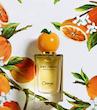 عطر ادکلن دولچه اند گابانا اورنج(پرتقال) ادوتویلت مردانه-زنانه Dolce & Gabbana Orange Unisex EDT