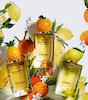 عطر ادکلن دولچه اند گابانا لمون(لیمو) ادوتویلت مردانه-زنانه Dolce & Gabbana Lemon Unisex EDT