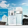 عطر ادکلن دولچه اند گابانا لایت بلو لیوینگ استرومبولی-استرامبولی ادوتویلت مردانه Dolce & Gabbana Light Blue Living Stromboli for Men EDT
