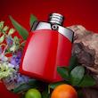 عطر ادکلن مونت بلانک لجند رد ادوپرفیوم مردانه Mont Blanc Legend Red for Men EDP