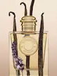 عطر ادکلن باربری گادس ادوپرفیوم زنانه Burberry Goddess for Women EDP