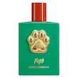 عطر Dolce & Gabbana Fefé مخصوص سگ و گربه با بطری لوکس