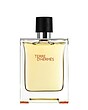 عطر ادکلن هرمس تق هرمس (تغ دی هغمس پغفوم) پارفوم مردانه Hermes Terre d’Hermes Parfum