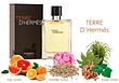 عطر ادکلن هرمس تق هرمس (تغ دی هغمس پغفوم) پارفوم مردانه Hermes Terre d’Hermes Parfum