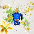 عطر ادکلن کازاموراتی زرجف-زرژاف مفیستو ادوپرفیوم مردانه Xerjoff Casamorati Mefisto EDP