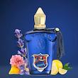 عطر ادکلن Mefisto Casamorati 1888 مردانه با رایحه مرکباتی، پودری و چوبی