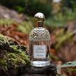 عطر ادکلن گرلن آکوا الگوریا هربا فرسکا ادوتویلت مردانه-زنانه Guerlain Aqua Allegoria Herba Fresca Unisex EDT