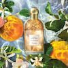 عطر ادکلن گرلن آکوا الگوریا اورنج سولیا ادوتویلت مردانه-زنانه Guerlain Aqua Allegoria Orange Soleia Unisex EDT