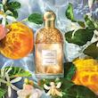 عطر ادکلن گرلن آکوا الگوریا اورنج سولیا ادوتویلت مردانه-زنانه Guerlain Aqua Allegoria Orange Soleia Unisex EDT