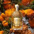 عطر ادکلن گرلن آکوا الگوریا فورته ماندارین باسیلیک ادوپرفیوم زنانه Guerlain Aqua Allegoria Forte Mandarine Basilic for Women EDP